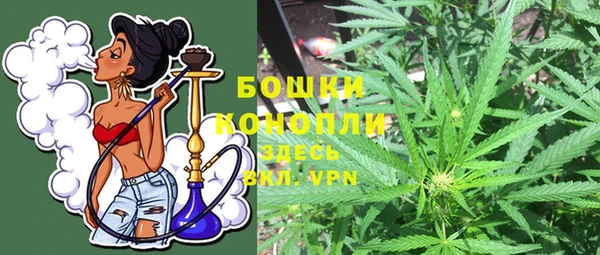 круглые Иннополис