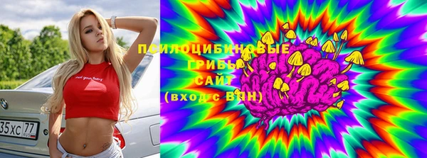 круглые Иннополис