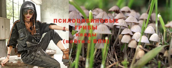 круглые Иннополис