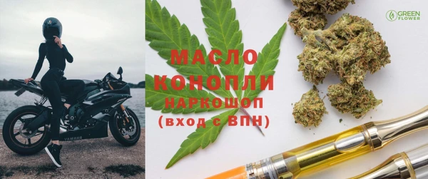 твердый Инсар