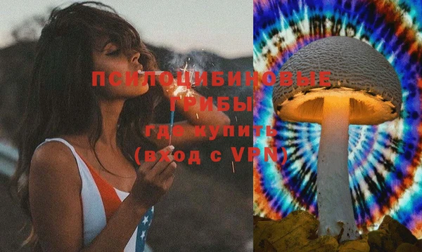 круглые Иннополис