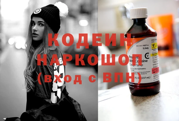 твердый Инсар