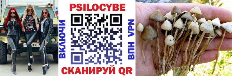 где продают наркотики  Новошахтинск  Галлюциногенные грибы Psilocybine cubensis 